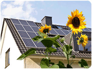 Home solor panels - Solar panel specialist | Los Angeles County, CA